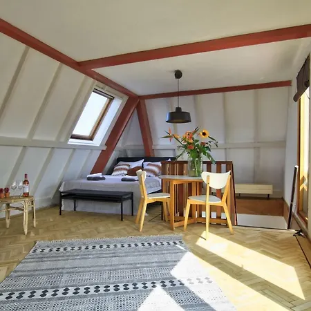 Rooftop Near Amsterdam Castle Homestay