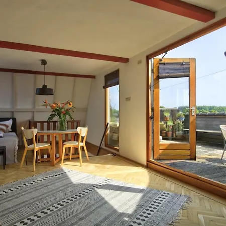 Rooftop Near Amsterdam Castle * Muiden